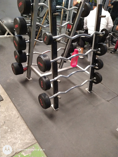 Gym Supreme Warrior's