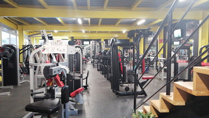 Body For Life Gym