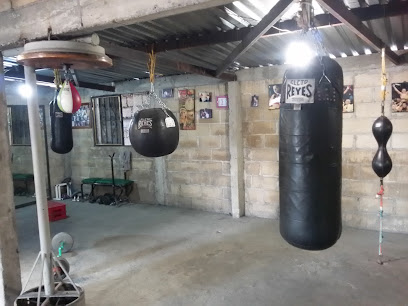 Escuela De Boxeo Jose Sulaiman