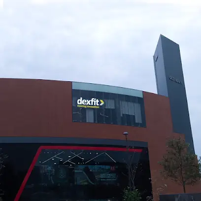 Dexfit Punto Sur