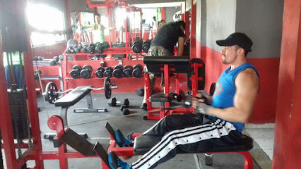 Pro Gym Fitness
