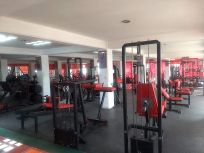 Scorpions Gym