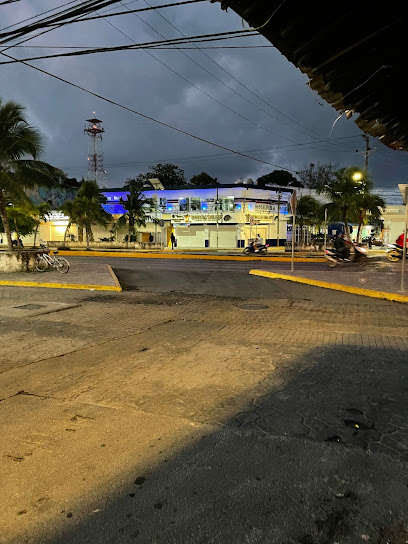 Dharma GYM