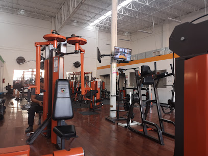 Be Fit Mx Gym