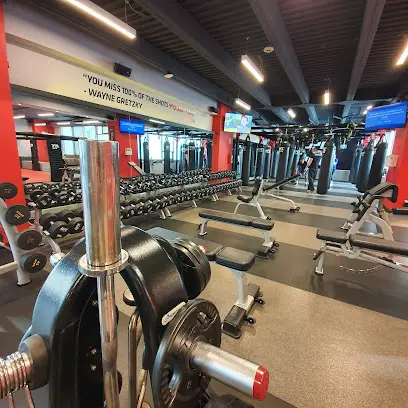 UFC Gym México