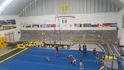 PRO GYMNASTICS MX