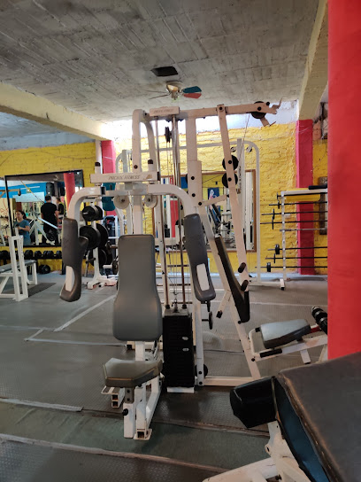 Pedro's GYM