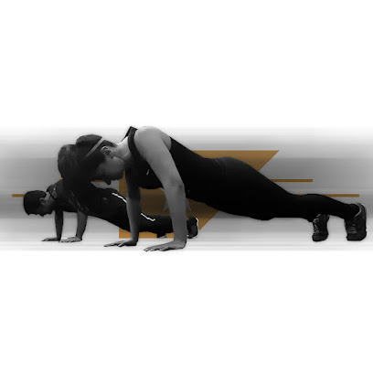 TREINO estudio fitness
