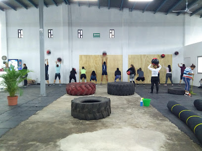 OLIMPO'S GYM EVOLUTION