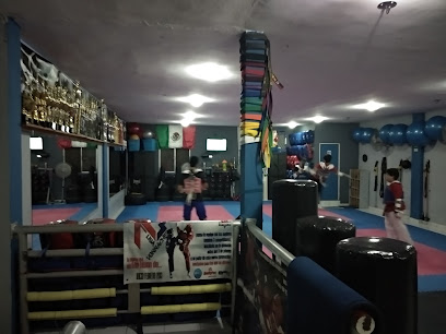 Vonnacher Taekwondo Colombia