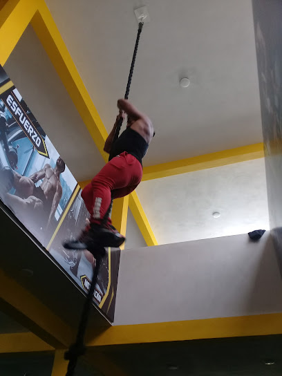 Gym Extreme Zone