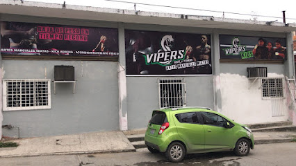 Gym Vipers