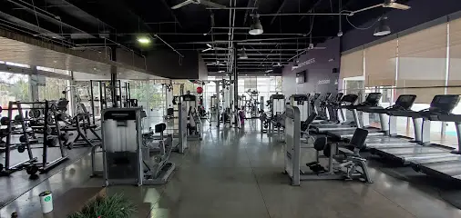 Anytime Fitness Santa Anita