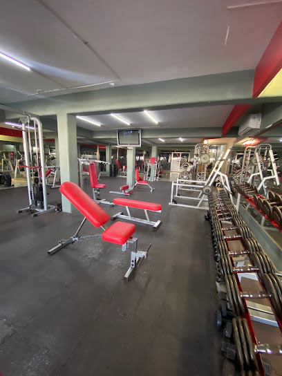 GREKO GYM