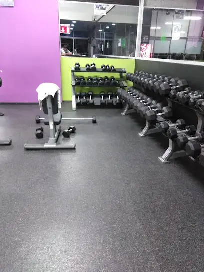 Anytime Fitness Plan de San Luis