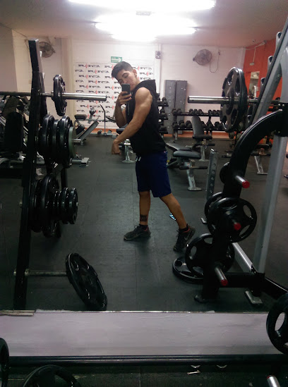 Active Life