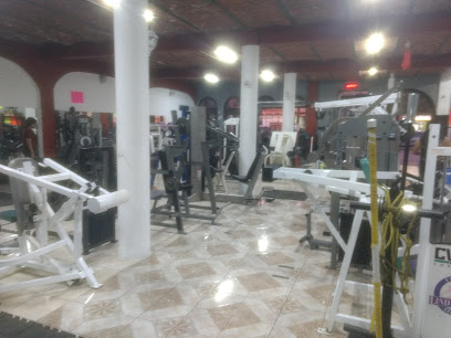 ALMER Training Systems