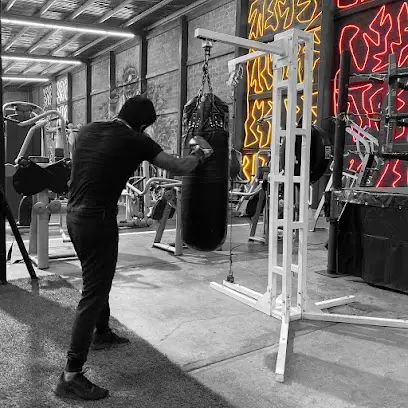 Progym BLACK