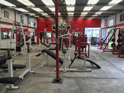 Gym Buena Vista