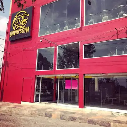 DAVID'S GYM