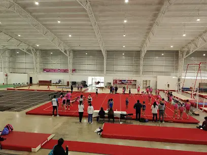 Kim Escuela de Gimnasia