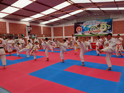 Dojo Eikyo Los Volcanes