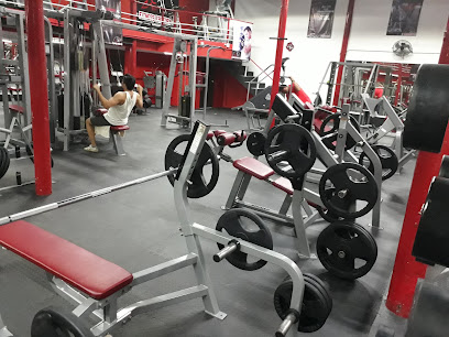Fitness Factory Gym