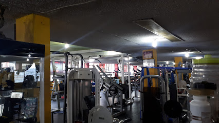Roman's Gym