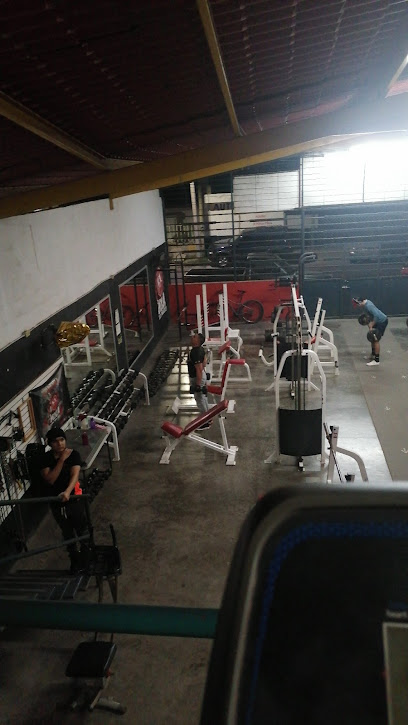 MMA Los Mochis