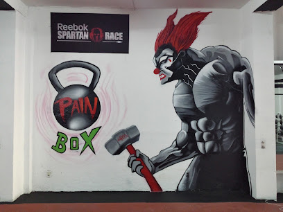Pain Box Gym