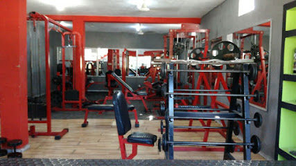 Elite Muscle GYM