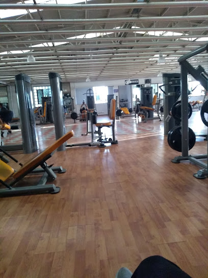 Anca's GYM