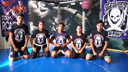 Gladiadores MMA