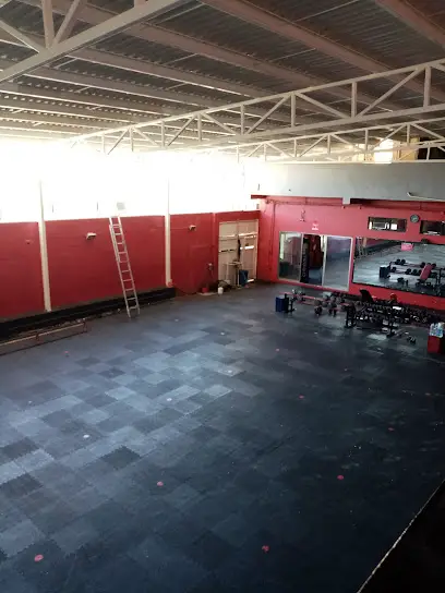 Let's Go GYM & Fitness