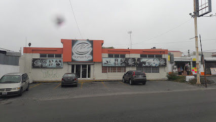 Olympia Gym Industrial