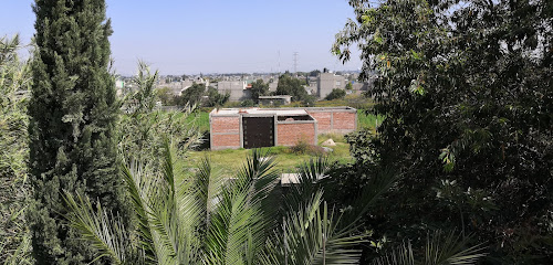 Campo De Futbol Chocolín
