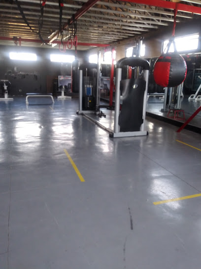 City Fitness