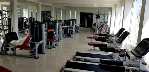 Sport Platinum Lean Fit