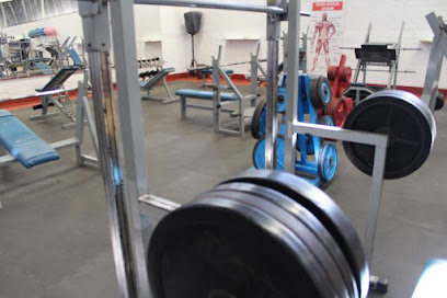 Eggman Gym Multideportivo