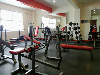 Body Sport GYM