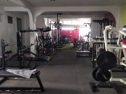 Rabbit GYM