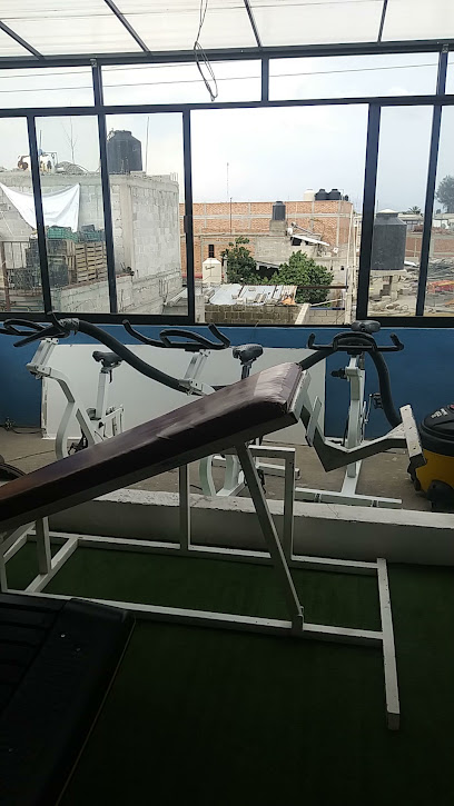 Gym Reina