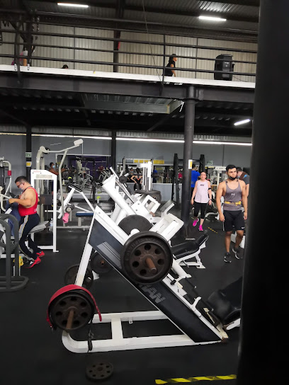 Power Gym Tec