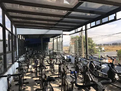 Sport In Line