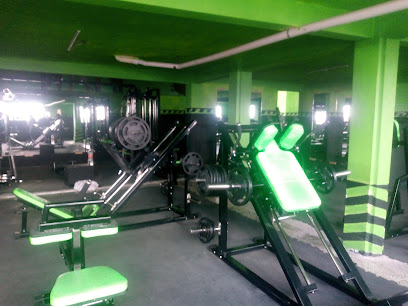 GYM BULLS EMPIRE