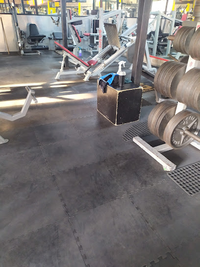 Gym Puro Músculo