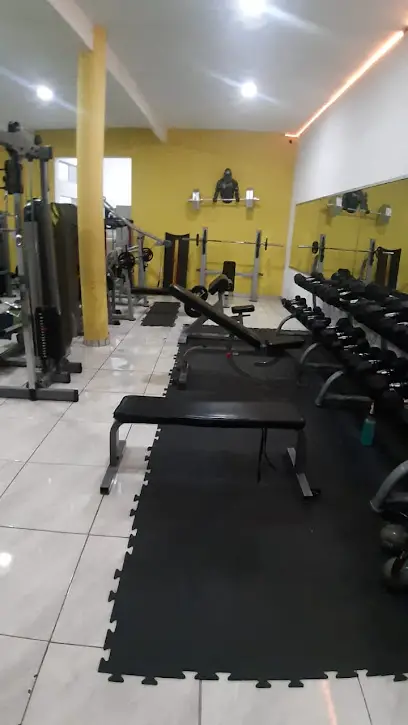 Vivant Gym Jalisco