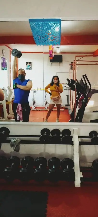 Gym Champion Fitness