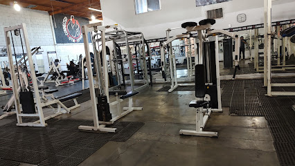 Connected Gym Sport