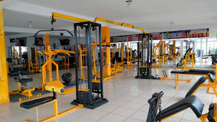 APOLO GYM ZARAGOZA